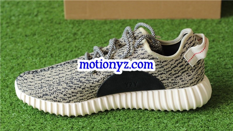 God Version Yeezy Boost 350 Turtle Dove